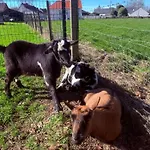 Domaine De Stella Nature&spa Gapennes