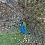 Domaine De Stella Nature&spa Pensionat 3*