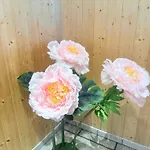 Domaine De Stella Nature&spa Pensionat