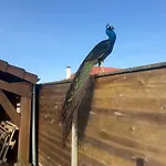 Domaine De Stella Nature&spa Pensionat