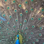 Domaine De Stella Nature&spa Pensionat Gapennes