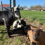 Pensionat Domaine De Stella Nature&spa Gapennes