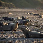 Domaine De Stella Nature&spa Pensionat 3*