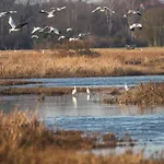 Domaine De Stella Nature&spa