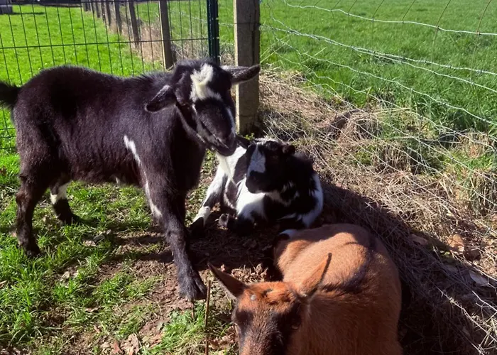 Domaine De Stella Nature&spa Gapennes