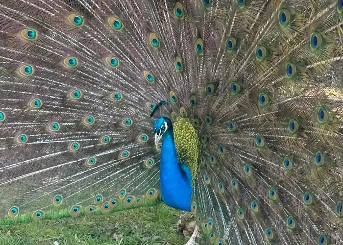 Domaine De Stella Nature&spa Guest house 3*