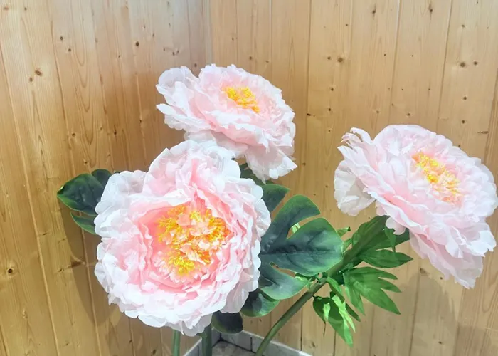 Domaine De Stella Nature&spa Guest house