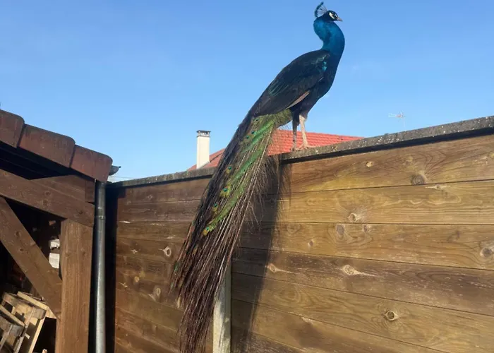 Domaine De Stella Nature&spa Guest house