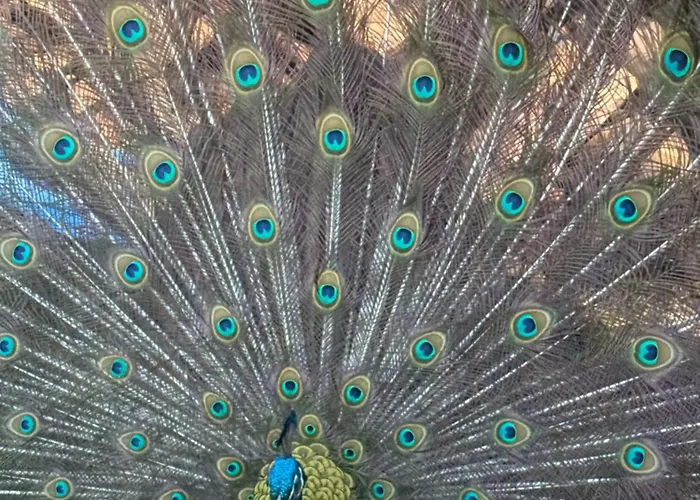 Domaine De Stella Nature&spa Guest house Gapennes