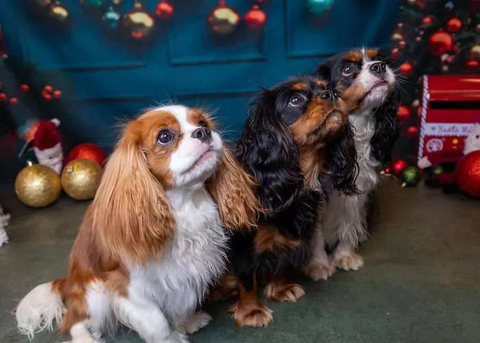 Guest house Domaine De Stella Nature&spa 3*