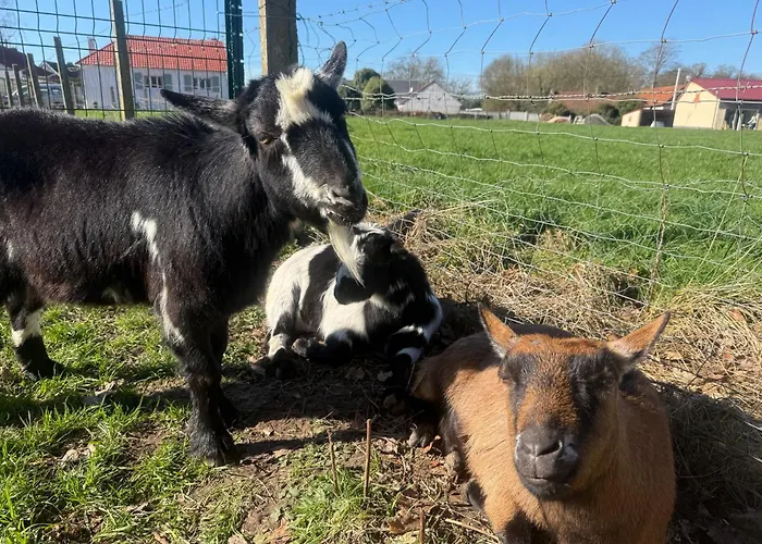 Guest house Domaine De Stella Nature&spa Gapennes