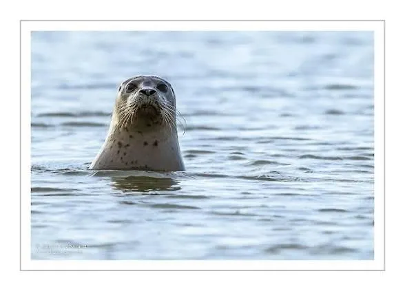 Domaine De Stella Nature&spa Guest house 3*