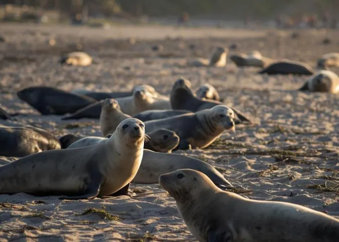 Domaine De Stella Nature&spa Guest house 3*